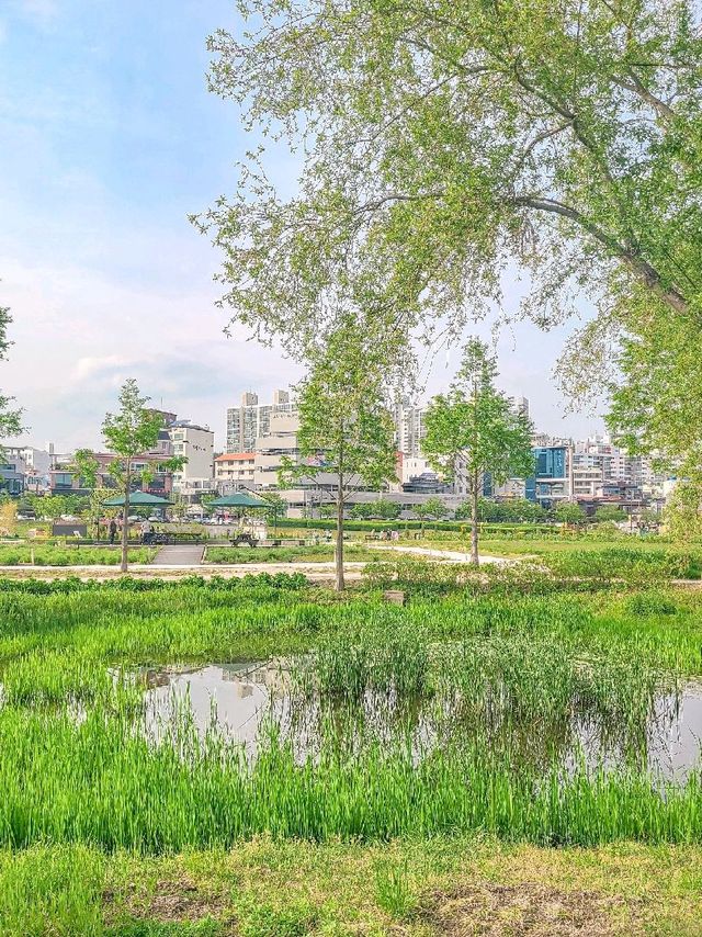 가볍게 산책하기 좋은 #태화강국가정원 🌿 