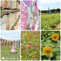 信芯園向日葵花田🌻