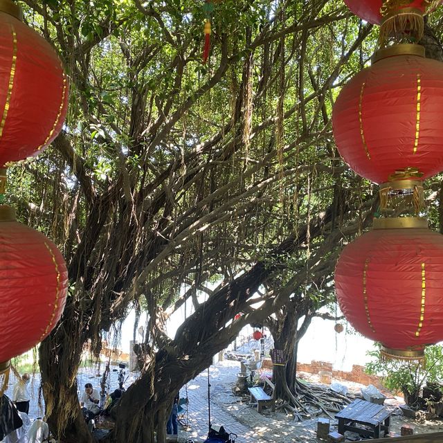 《台南》古色古香的—台南老塘湖藝術村！