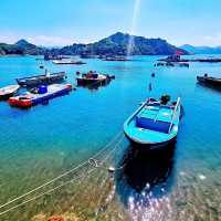 純樸寧靜安閒的小島