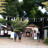 綠悠悠的公園🌳🌳🌳