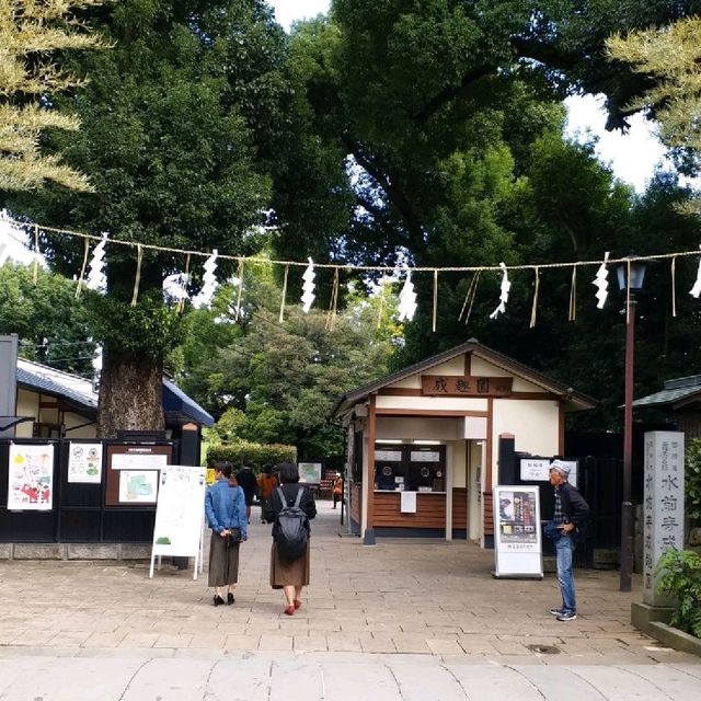 綠悠悠的公園🌳🌳🌳