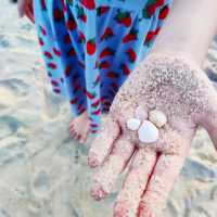 5 Star Hotel Hyatt Regency Kuantan Resort