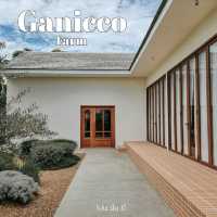 Ganicco Farm คาเฟ่สวยเปิดใหม่นนทบุรี