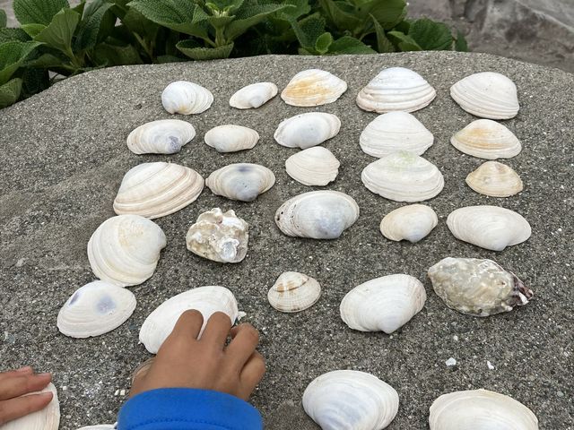 【横須賀】美しい無人島　\ 猿島/