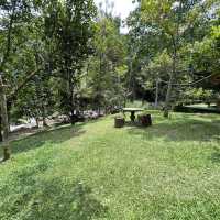 Day Trip - Back to Nature Cafe