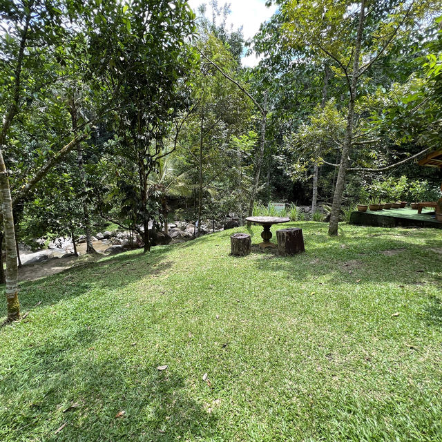 Day Trip - Back to Nature Cafe