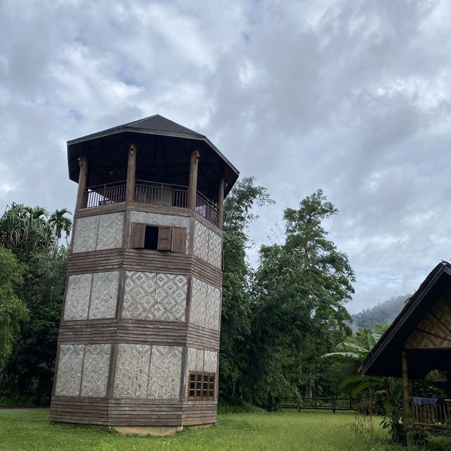 Our Jungle Camp - Eco Resort 🍃