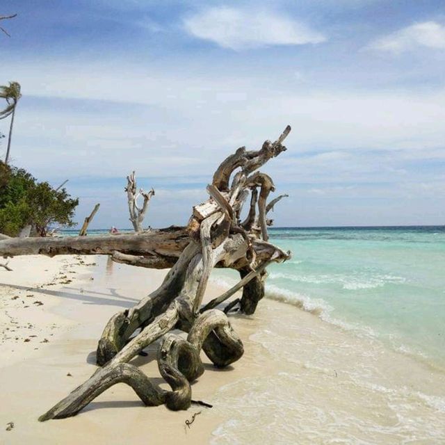 MANTABUAN ISLAND 😍