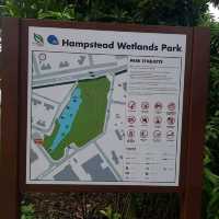 Weekend Exploration At Hampstead wetland 