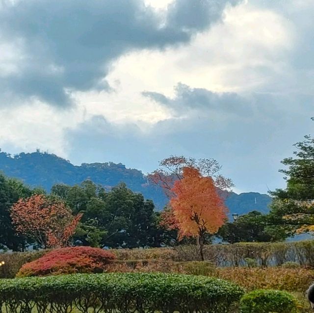 【 岐阜 長良川】岐阜郷土料理の朝食✨