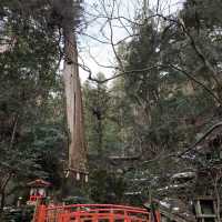 京都 鞍馬山