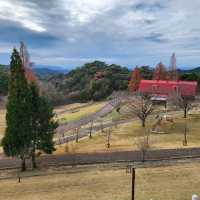 Rokko farm