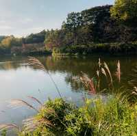 【三ツ池公園】横浜