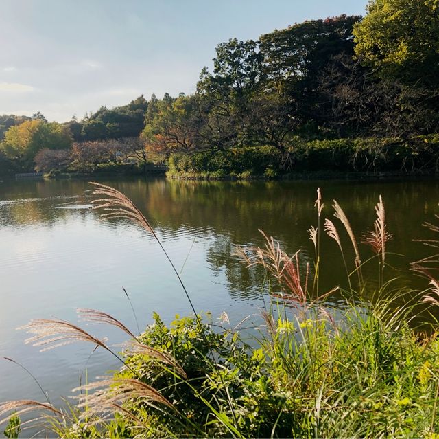 【三ツ池公園】横浜