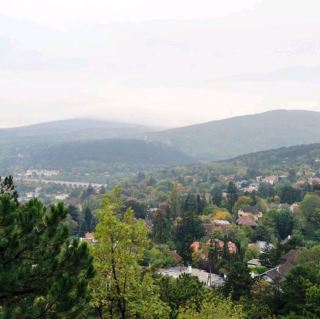 Baden Kurpark Baden Stadtpark เดินป่า