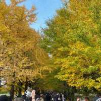 【のんびりデートに最適🍃昭和記念公園】