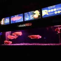 Sea World Ancol