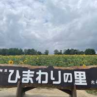 北竜　ひまわりの里