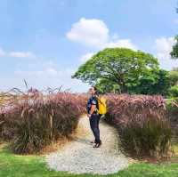 ที่พักสวยริมแม่น้ำกก Le Méridien Chiang Rai Resort