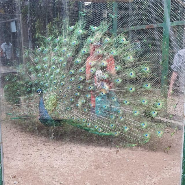 L Usine lệ thành tôn
