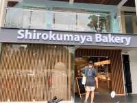 Shirokumaya Bakery 🥯 