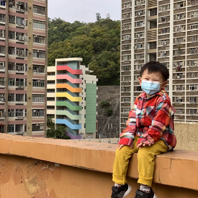 走進時光隧道🐷仔，發現咗多啦A夢隨意門