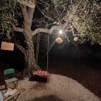 Bar and olive tree