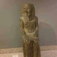 wow Luxor Museum