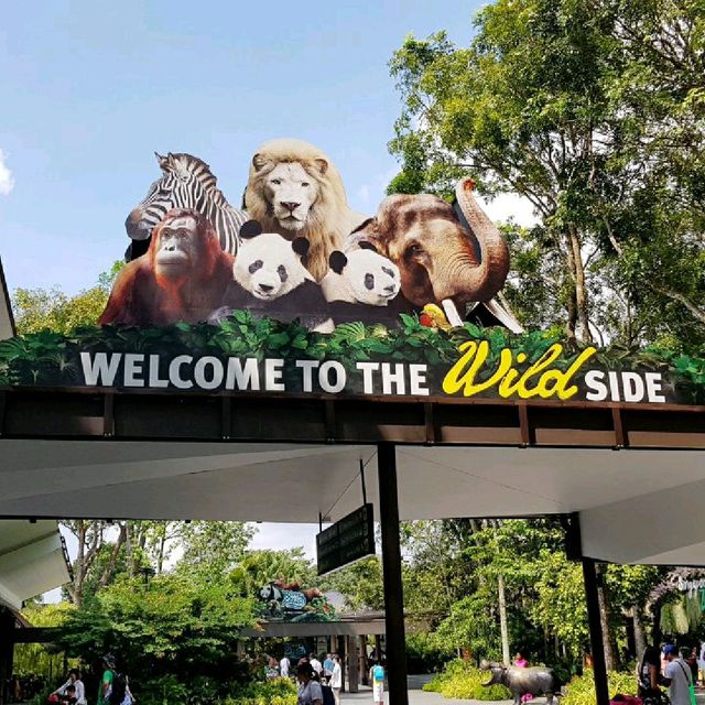 a great beautiful country to visit(Singapore)