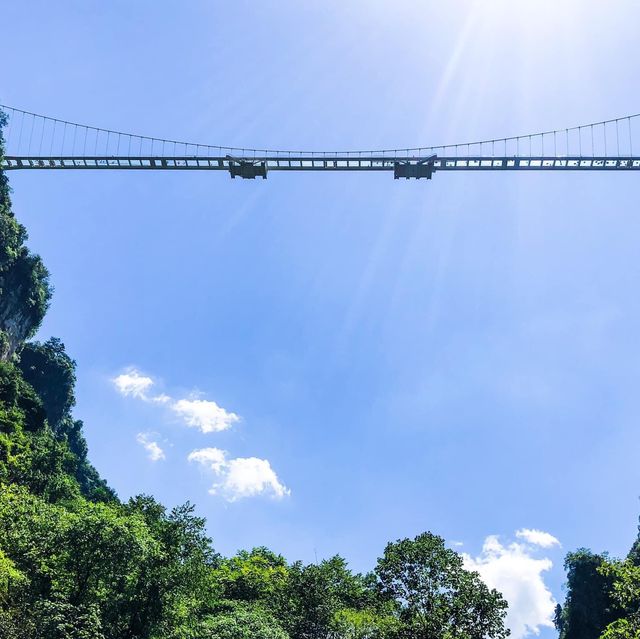 Zhangjiajie “The Avatar Mountains” 