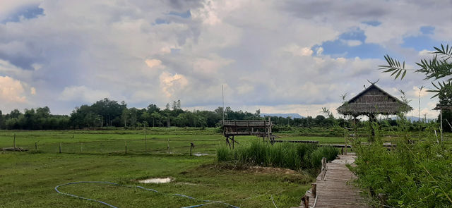 พาไปชมวัดรัตนเนตตาราม (วัดล้านหอย) 