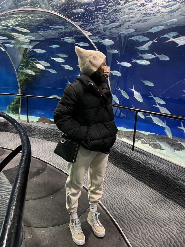 Day at the Shanghai Ocean Aquarium 🐠 