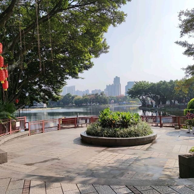 An oasis in a concrete jungle