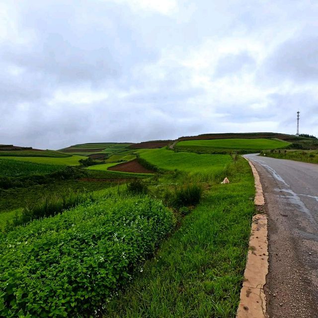 Dongchuan Red Land 🇨🇳 Yunnan