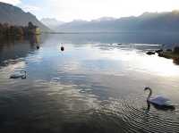 日內瓦湖畔的滄海遺珠 - Vevey