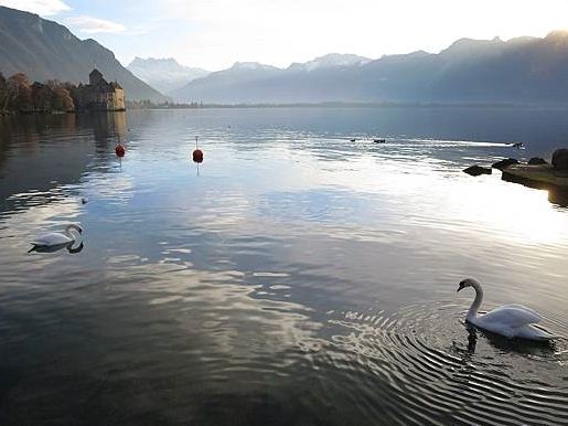 日內瓦湖畔的滄海遺珠 - Vevey