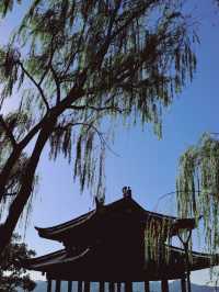 West Lake, Hangzhou🌿🌱🌳