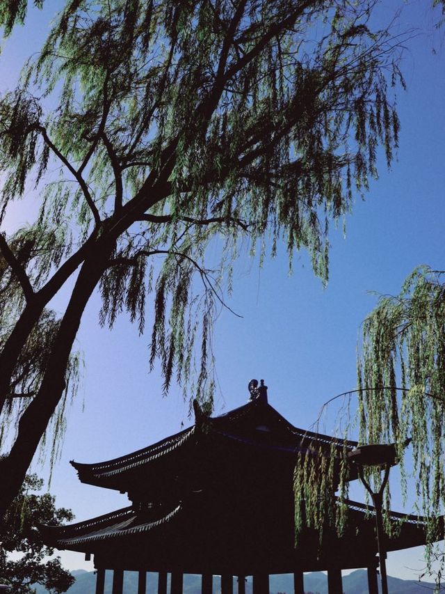 West Lake, Hangzhou🌿🌱🌳