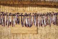 Archery, embroidery, traditional harmonica | Experience a day of Ainu traditional culture in Hokkaido.