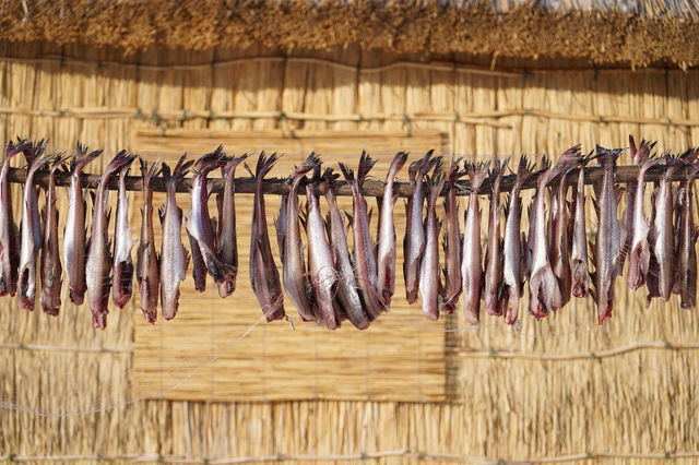 Archery, embroidery, traditional harmonica | Experience a day of Ainu traditional culture in Hokkaido.