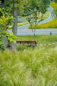 This is not a manga by Hayao Miyazaki 🍃 It's Chongqing! Chongqing!