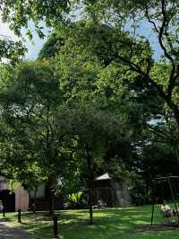 Singapore Dragon's Den | Fort Canning Park • Tree Hole Observatory 🌳 Hidden in the lush greenery