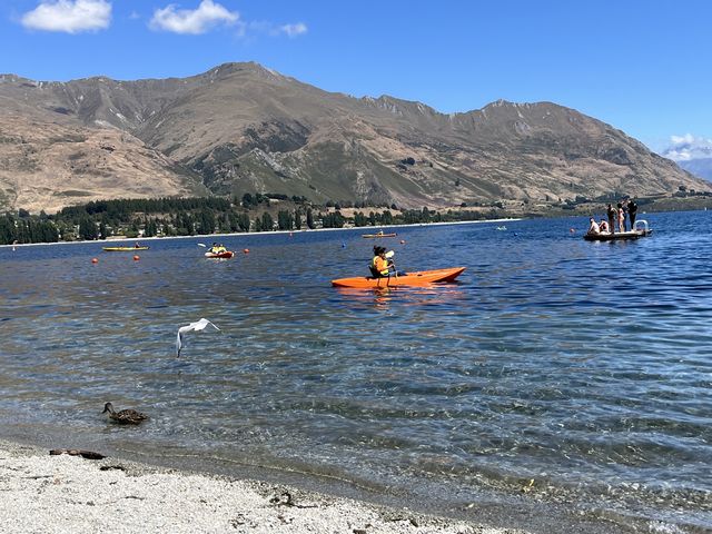 The tranquil lakeside of Wanaka Roy Bay.