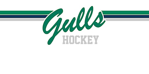 Endicott College Women's Ice Hockey vs. Western New England University | Raymond J. Bourque Arena