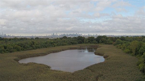 Volunteer Landscaping and Cleanup at the Ridgewood Reservoir | Vermont Place