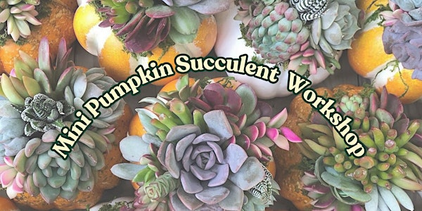 Mini Pumpkin Succulent Arrangement Workshop | VI Plant Shop