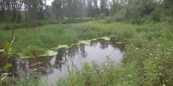 2026 Wetland Assessment Course | Cochrane Alliance Church