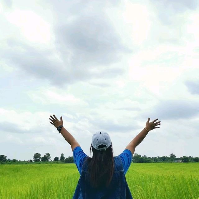 #ภูกระเหรี่ยง​ สายชิลล์ต้องมา​  นครนายก​