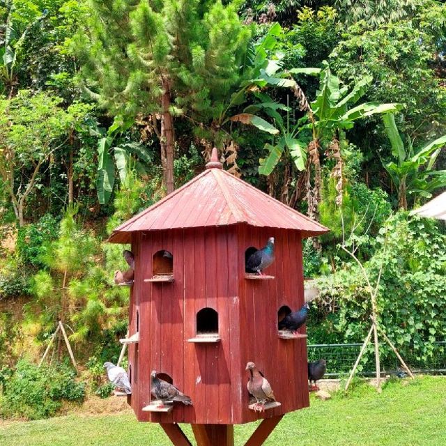 Emaki Almasoem Resort